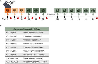 A Combined Strategy to Improve the Development of a Coral Antivenom Against Micrurus spp.